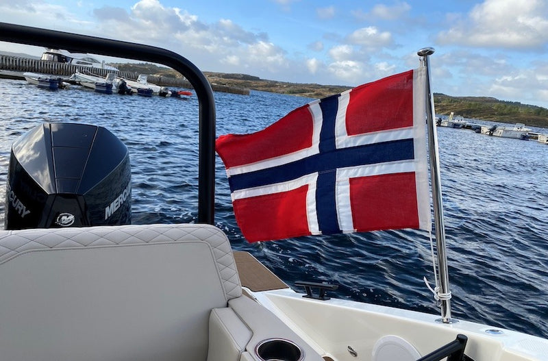FLAG HOLDER WITH POLE